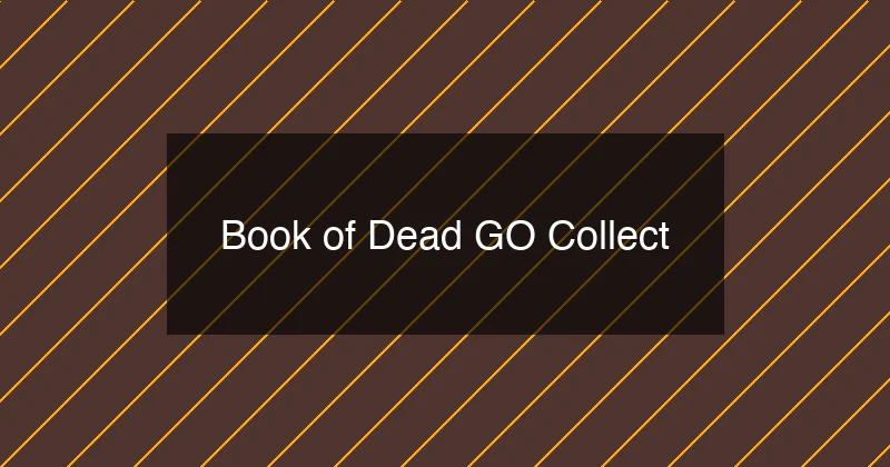 Book of Dead GO Collect - Mostbet casino oyunu